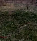Парцел в София, Требич