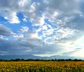 Снимка 4 — Парцел в Пазарджик, Устрем