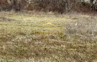 Парцел във Варна, Виница