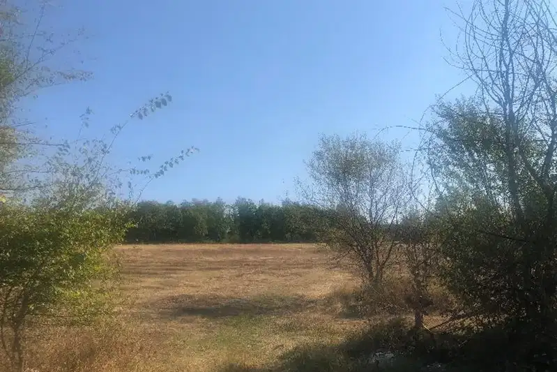 Парцел в Габрово, Войново