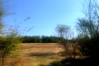 Парцел в Габрово, Войново
