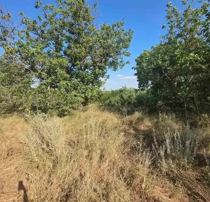 Photo 4 — Plot in Ruse, в.з. Астарджийка