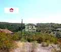 Снимка 5 — Парцел в Ловеч, в.з. Бабаковец