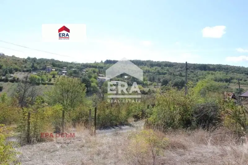 Plot in Lovech, Babakovec