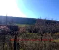 Снимка 2 — Парцел в Ловеч, в.з. Бабаковец