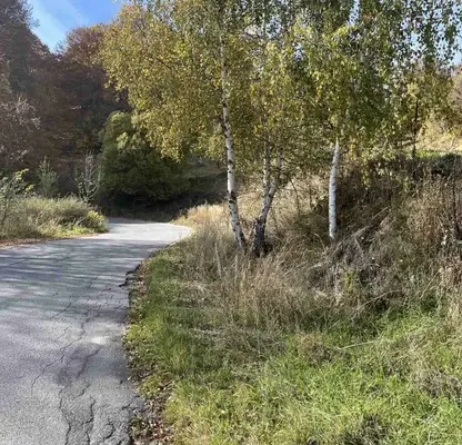 Photo 2 — Plot in Kyustendil, Yug