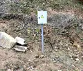 Снимка 4 — Парцел в Кюстендил, в.з. Юг