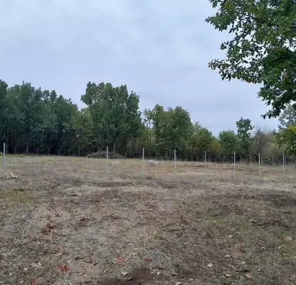 Снимка 3 — Парцел в Монтана, в.з. Запад