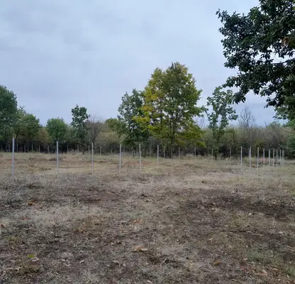 Снимка 4 — Парцел в Монтана, в.з. Запад