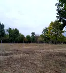 Парцел в Монтана, в.з. Запад