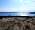 Снимка 3 — Парцел в Монтана, в.з. Запад
