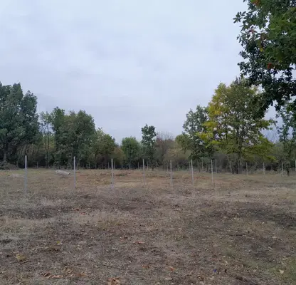Photo 4 — Plot in Montana, Zapad
