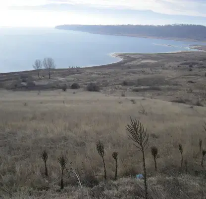 Photo 2 — Plot in Montana, Zapad
