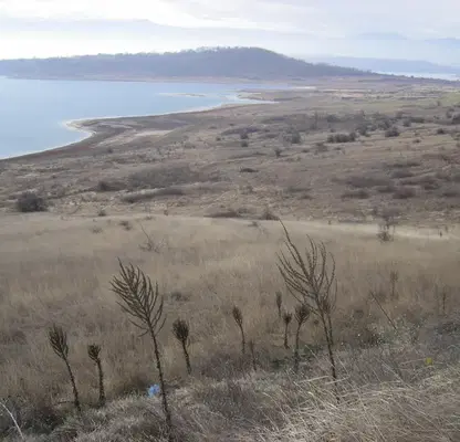 Photo 3 — Plot in Montana, Zapad