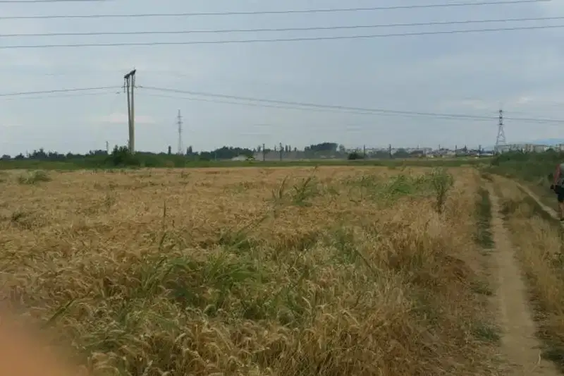 Парцел в Пазарджик, Запад
