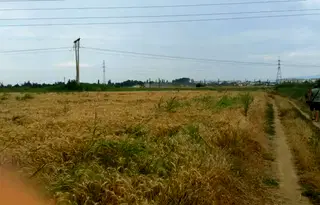 Парцел в Пазарджик, Запад