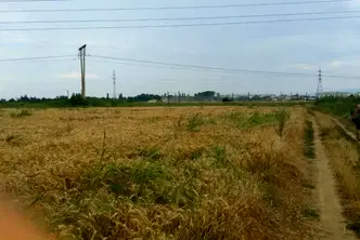Парцел в Пазарджик, Запад