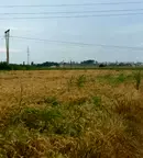Парцел в Пазарджик, Запад