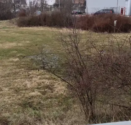 Photo 2 — Plot in Blagoevgrad, Dobrinishte