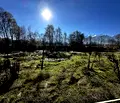 Снимка 4 — Парцел в Благоевград, Разлог