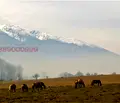 Снимка 5 — Парцел в Благоевград, Разлог