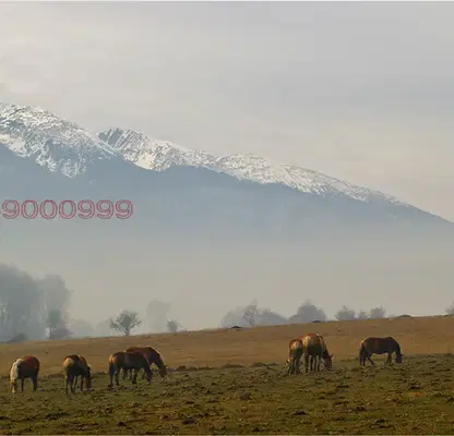 Снимка 4 — Парцел в Благоевград, Разлог