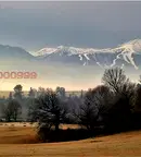 Парцел в Благоевград, Разлог