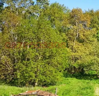 Photo 4 — Plot in Oblast Blagoevgrad, Leshnica