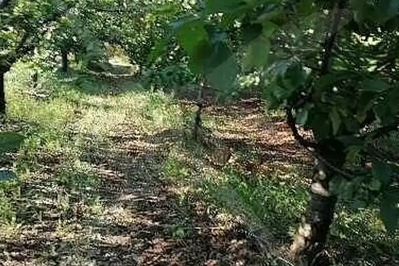 Парцел в Бургас, Айтос