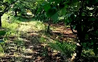 Парцел в Бургас, Айтос