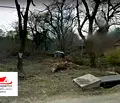 Снимка 4 — Парцел в Бургас, Царево