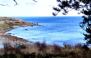 Парцел в Бургас, Царево