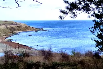 Парцел в Бургас, Царево