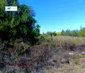 Снимка 3 — Парцел в Бургас, Царево