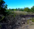 Снимка 5 — Парцел в Бургас, Царево