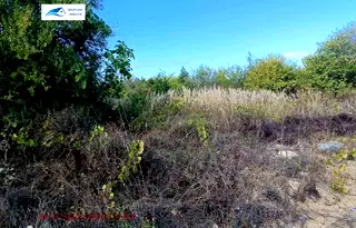 Парцел в Бургас, Царево