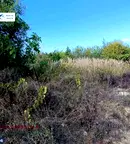 Парцел в Бургас, Царево