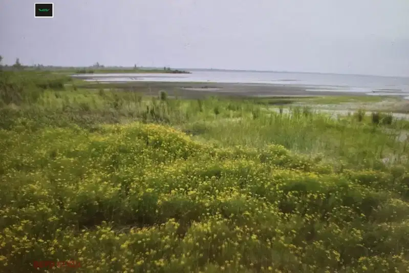 Парцел в Бургас, Царево