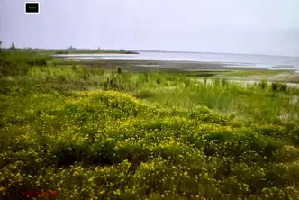 Парцел в Бургас, Царево