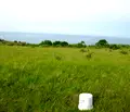Снимка 5 — Парцел в Бургас, Царево