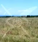 Парцел в Бургас, Черноморец