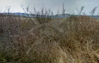 Парцел в Бургас, Черноморец