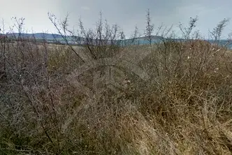 Парцел в Бургас, Черноморец