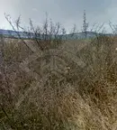 Парцел в Бургас, Черноморец