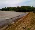 Снимка 3 — Парцел в Бургас, Камено