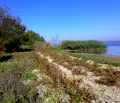 Снимка 5 — Парцел в Бургас, Камено