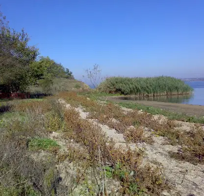 Photo 5 — Plot in Oblast Burgas, Kameno