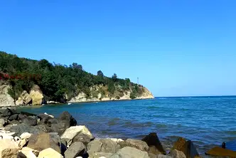 Парцел в Бургас, Обзор