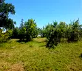 Снимка 3 — Парцел в Бургас, Приморско