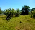Снимка 4 — Парцел в Бургас, Приморско